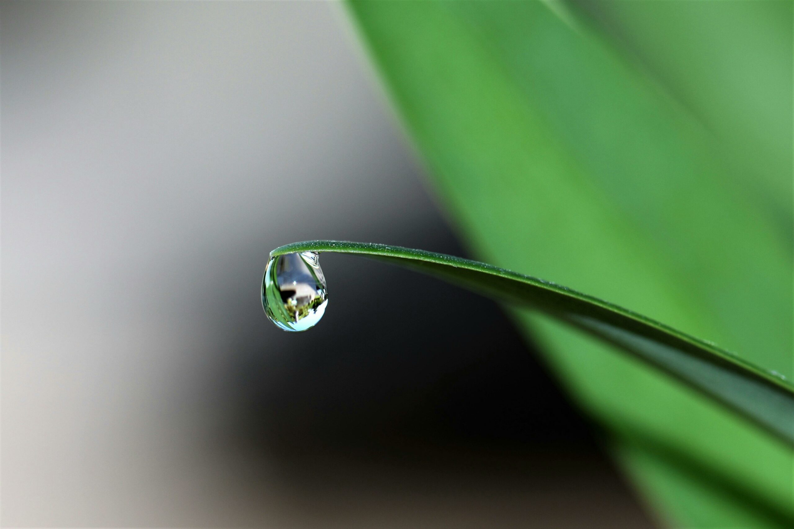 4 Sustainability Tips For Your Daily Routine