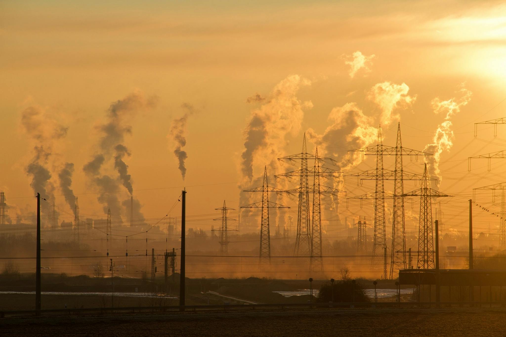 Carbon Offsetting: A Real Solution or Just Greenwashing?