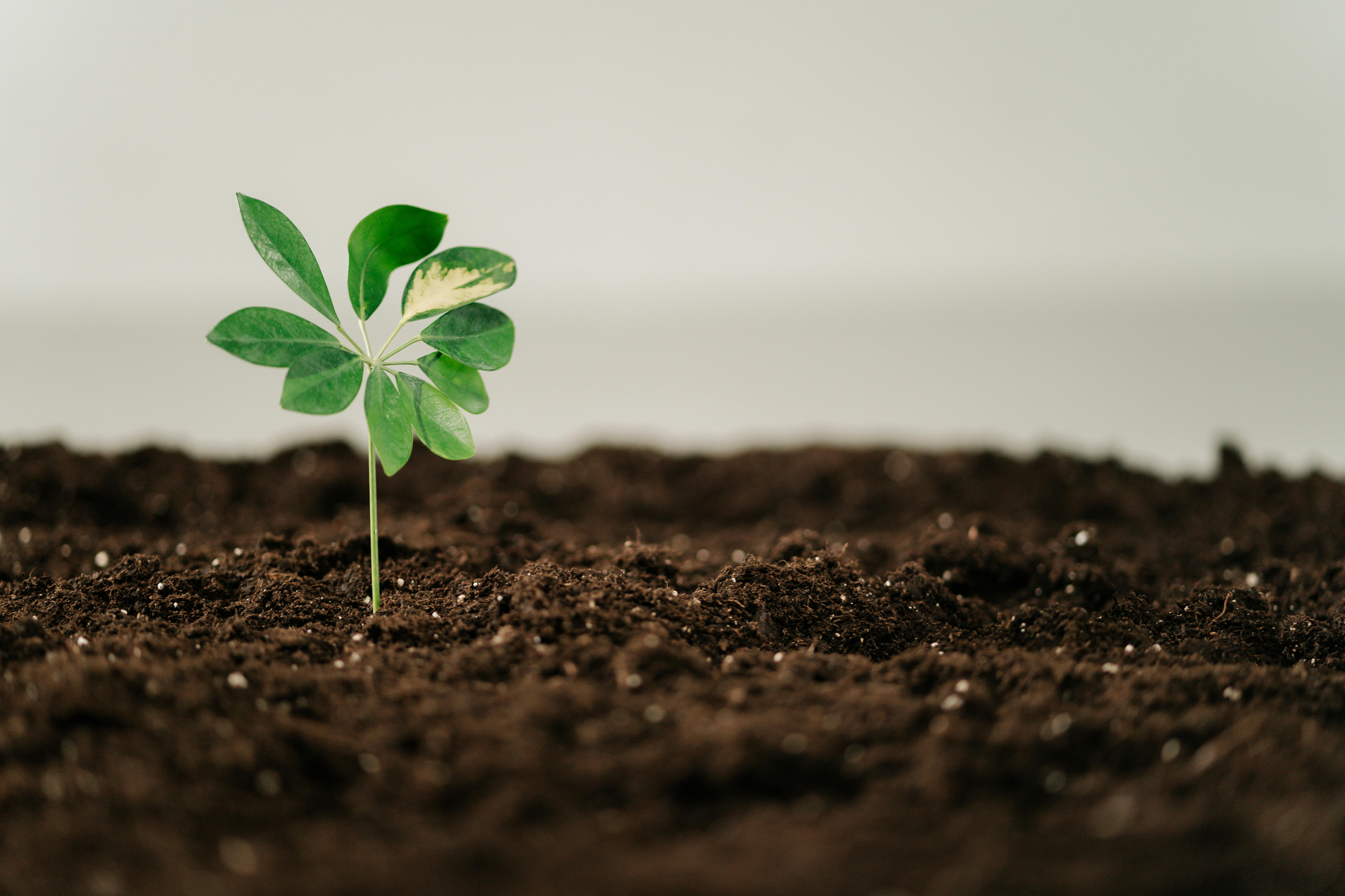 Is Your “Eco-friendly” Product Hiding a Dirty Secret?