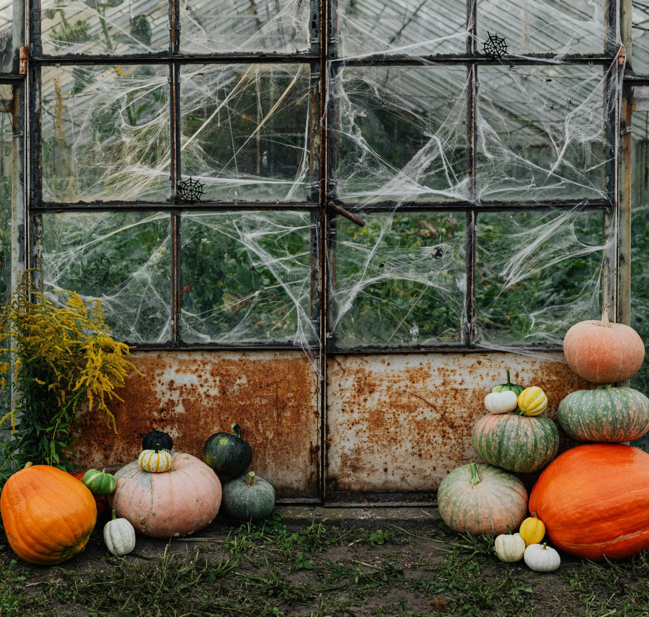 Tips and Tricks for a More Sustainable Halloween