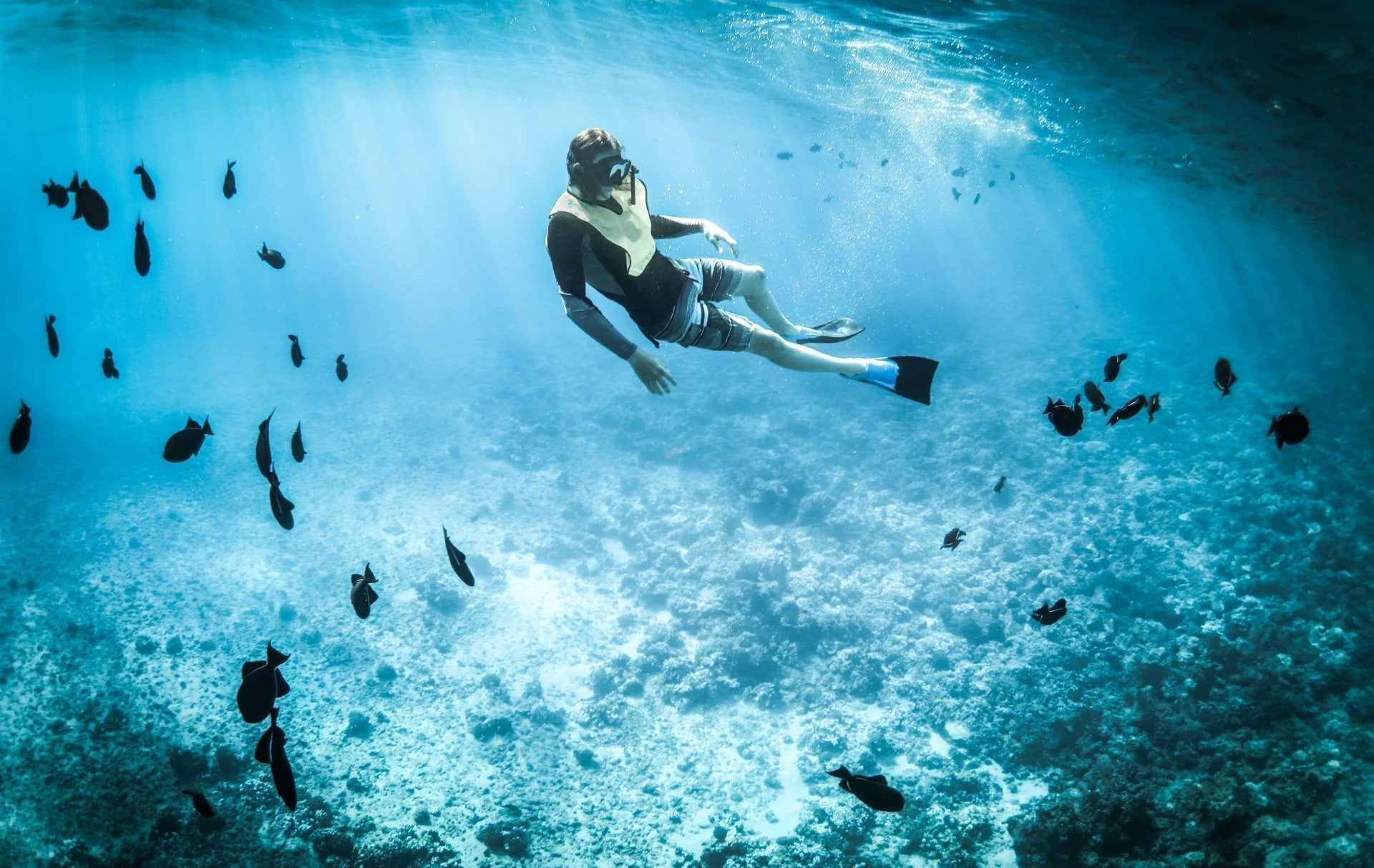 Scuba diver exploring the deep ocean blue waters, representing underwater exploration.