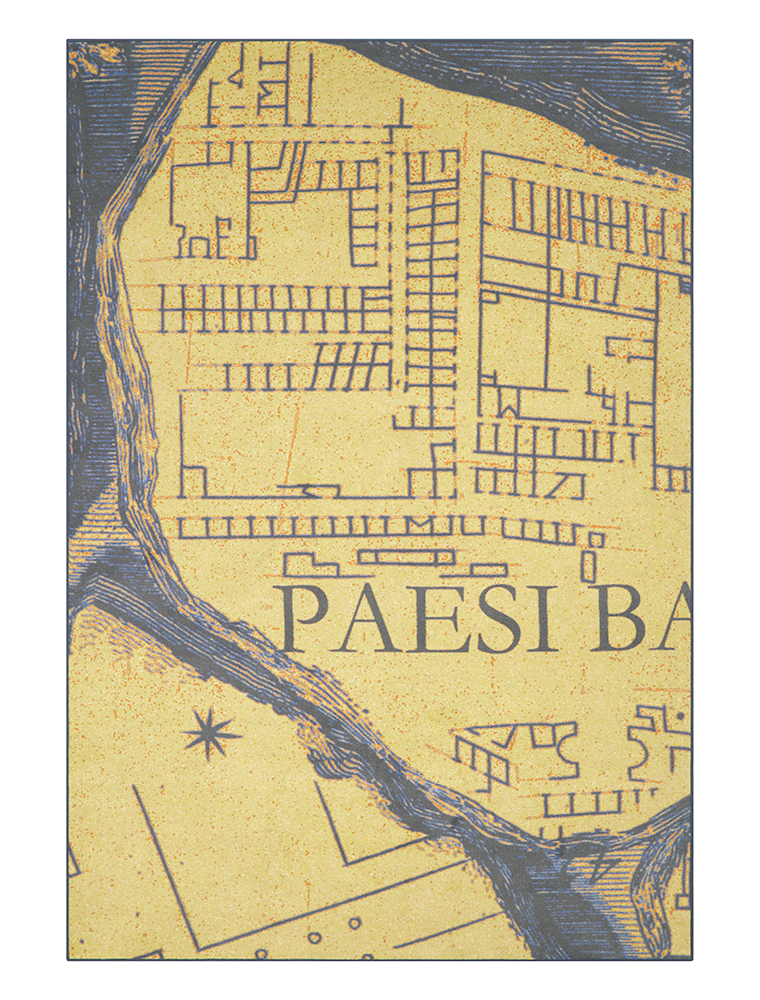 Paesi Bassi