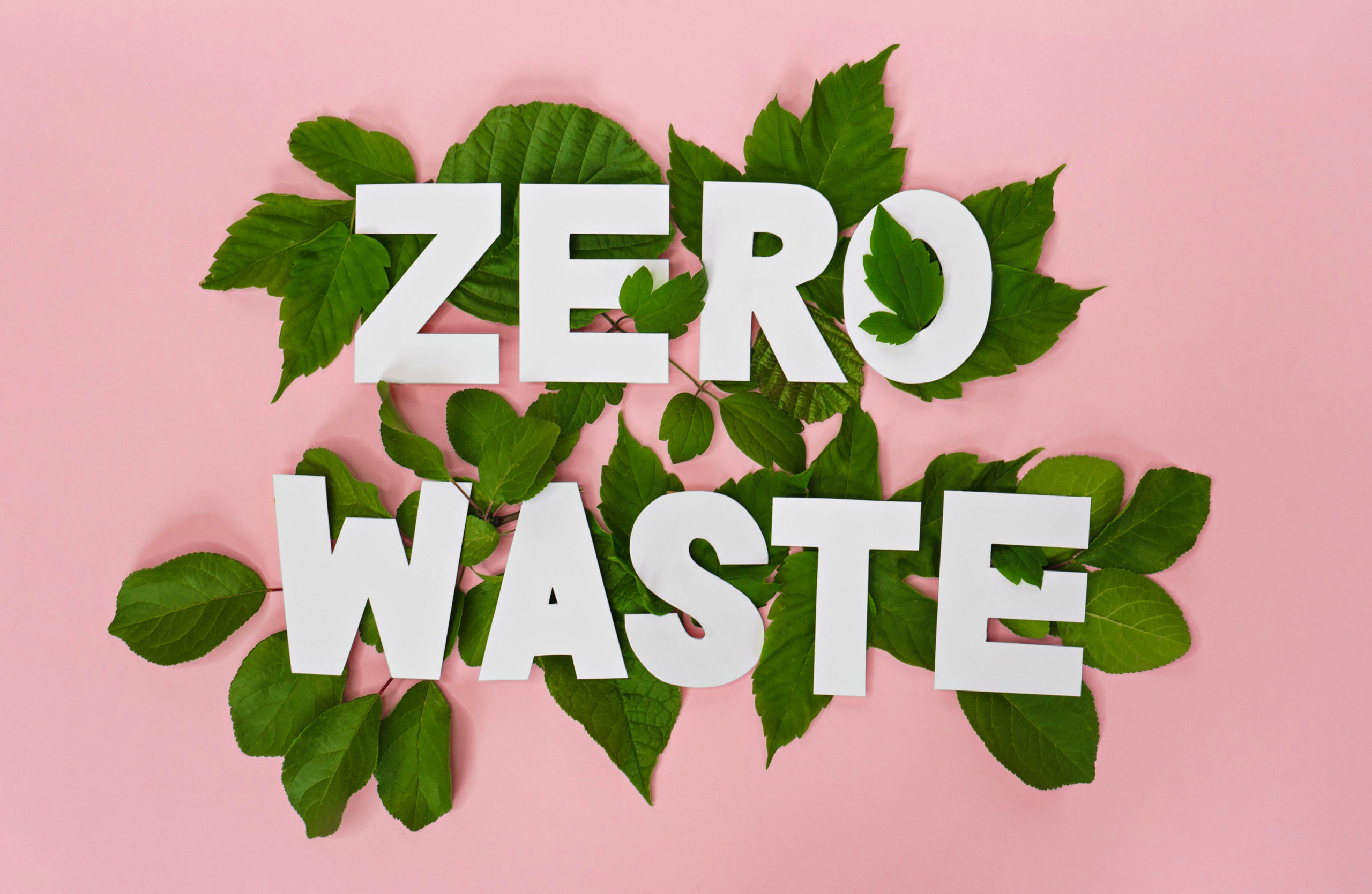 essay tentang zero waste